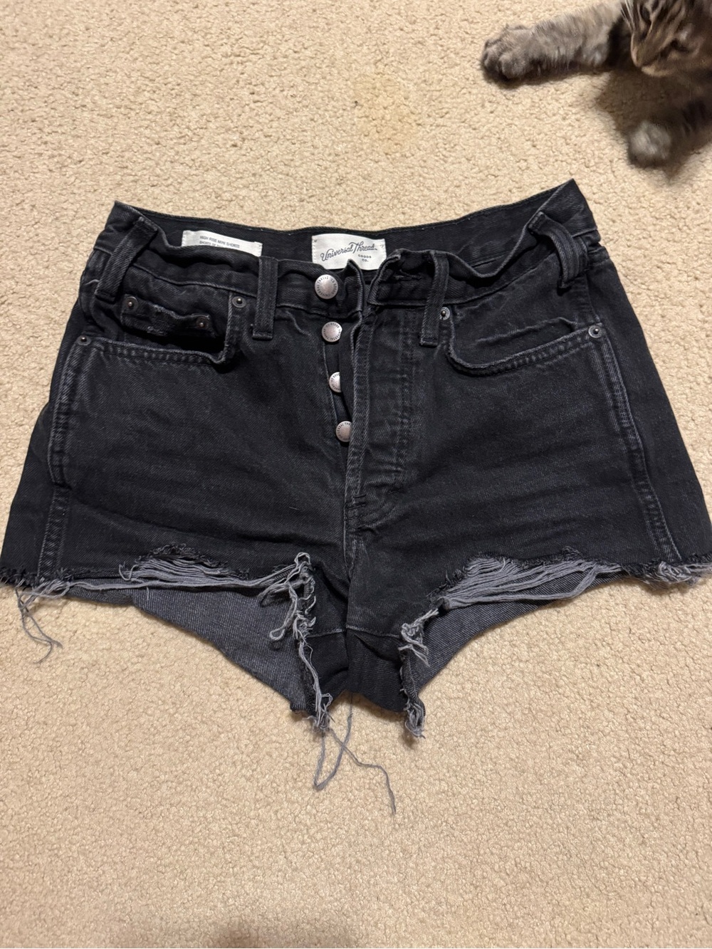 Universal Thread Black High-Rise Distressed Jean Shorts